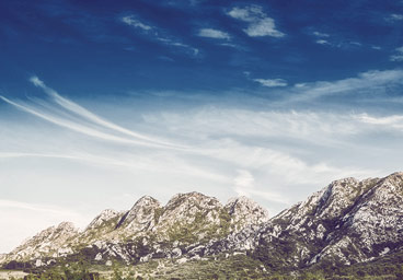 智能进程管理的在线DDOS平台攻击